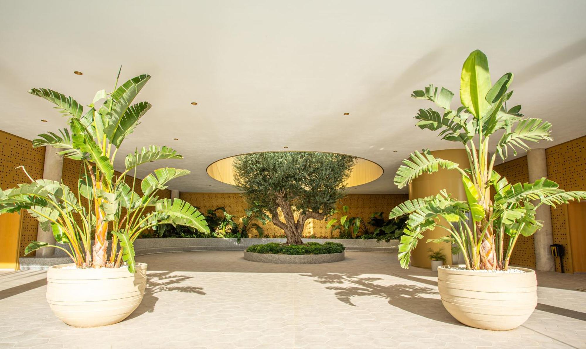 Intempo By Holuxe - 261 - 26th Floor Apartment Benidorm